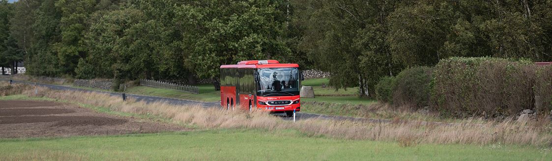 Buss i grönt landskap.