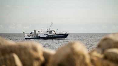 Skärgårdsbåt på havet utanför Blekinges kust, sedd genom strandvegetation.