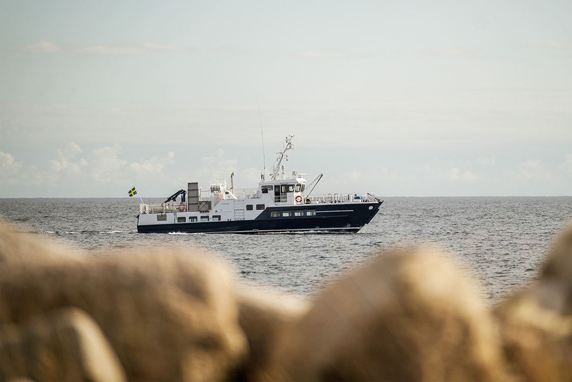 Skärgårdsbåt på havet utanför Blekinges kust, sedd genom strandvegetation.