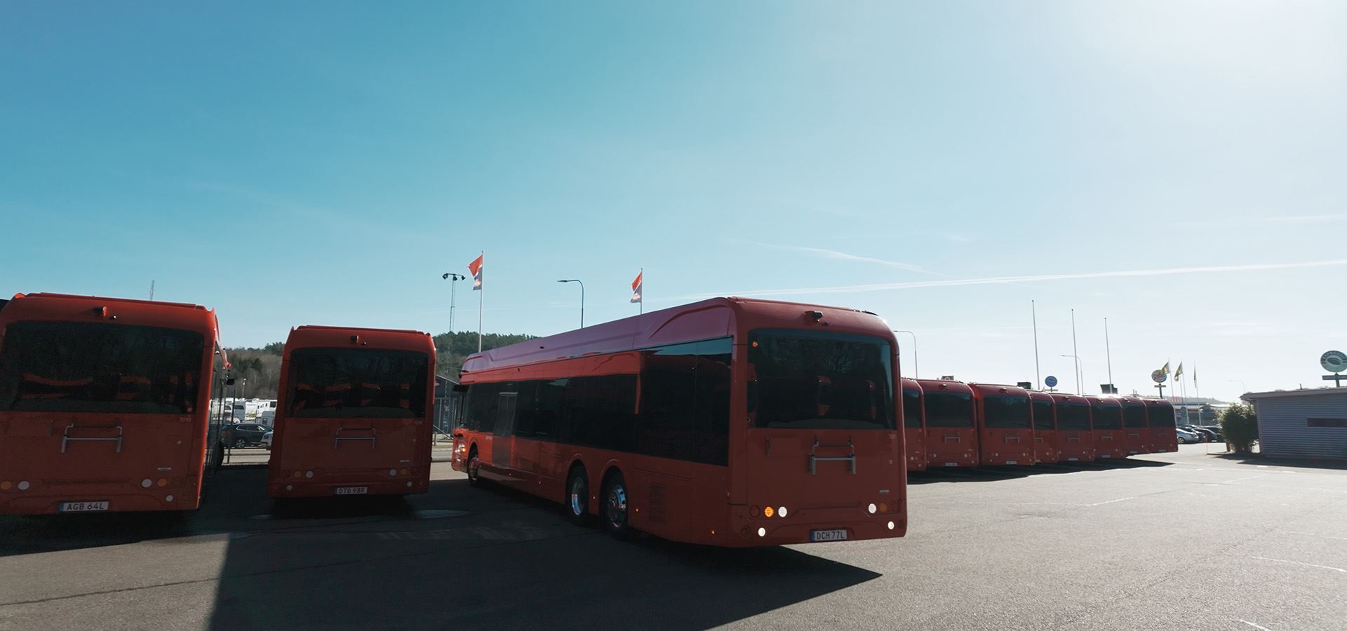 Röda bussar på rad
