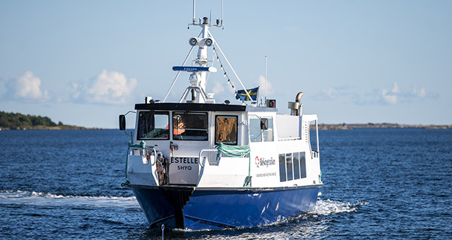 Båten M/F Estelle åker snett mot kameran medan en svensk flagga vajar i aktern.